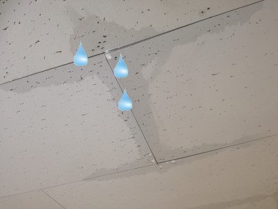 天井　水滴が落ちる　雨漏り症状